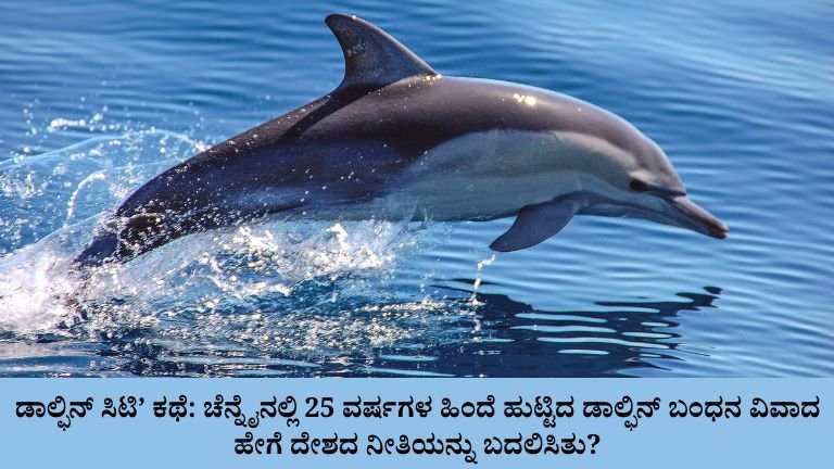 ಡಾಲ್ಫಿನ್ ಸಿಟಿ’ ಕಥೆ