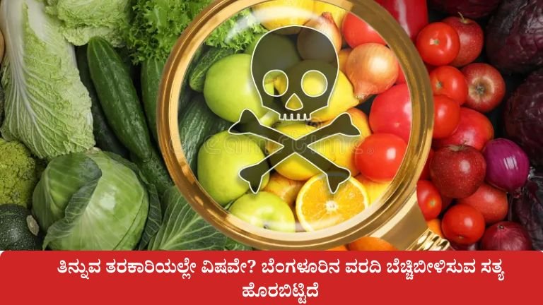 ತಿನ್ನುವ ತರಕಾರಿಯಲ್ಲೇ ವಿಷವೇ?