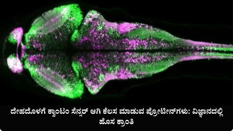 ವಿಜ್ಞಾನದಲ್ಲಿ ಹೊಸ ಕ್ರಾಂತಿ