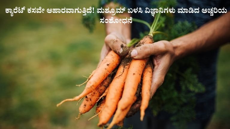 ಕ್ಯಾರೆಟ್ ಕಸವೇ ಆಹಾರವಾಗುತ್ತಿದೆ! ಮಶ್ರೂಮ್ ಬಳಸಿ ವಿಜ್ಞಾನಿಗಳು ಮಾಡಿದ ಅಚ್ಚರಿಯ ಸಂಶೋಧನೆ